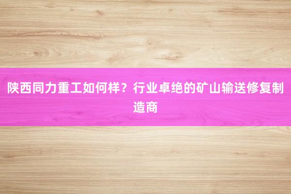 陕西同力重工如何样？行业卓绝的矿山输送修复制造商